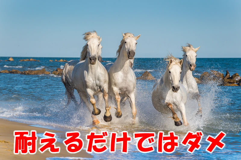 下弦のお月さま