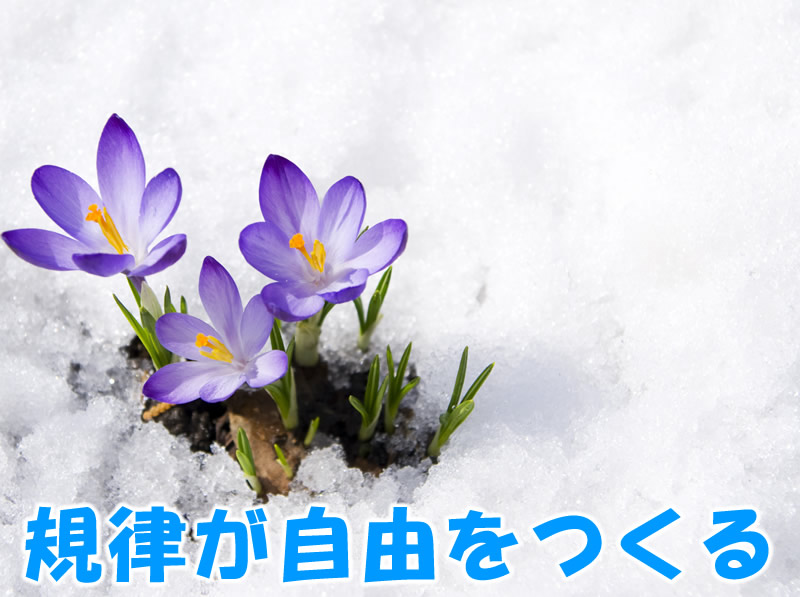 規律が自由をつくる