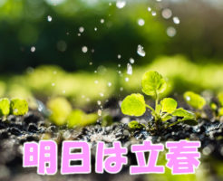 明日は立春です