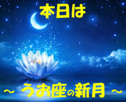 本日はうお座の新月