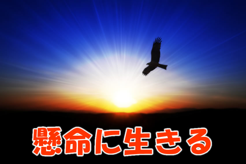 懸命に生きる