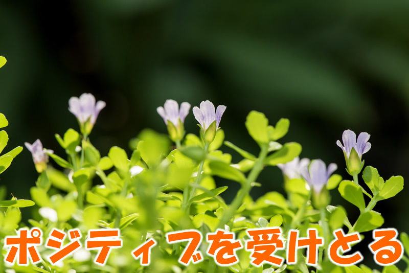 ポジティブを受けとる