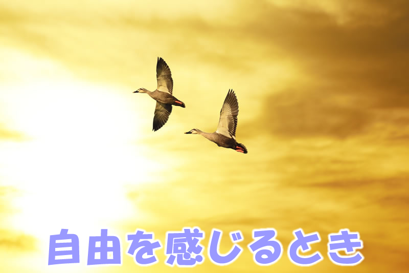 自由を感じるとき