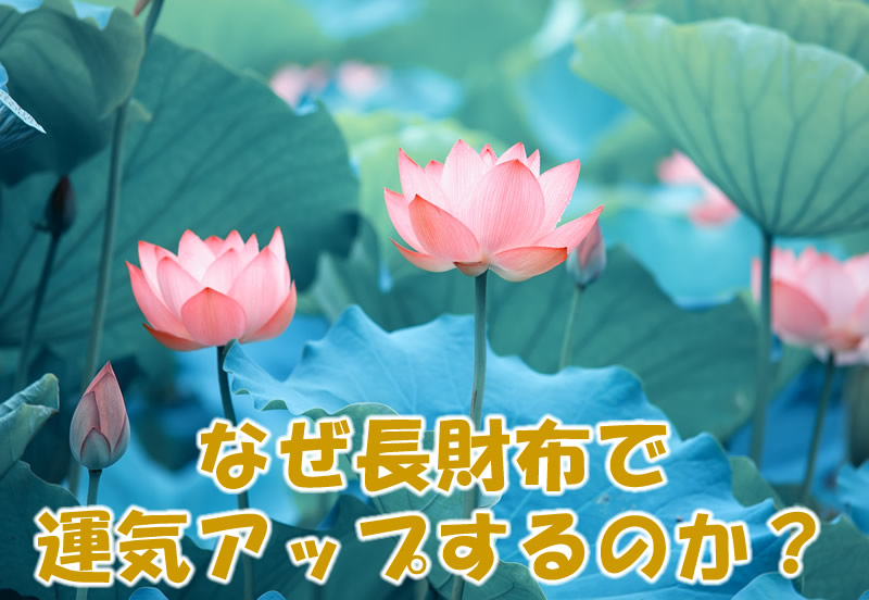 なぜ長財布で運気アップするのか