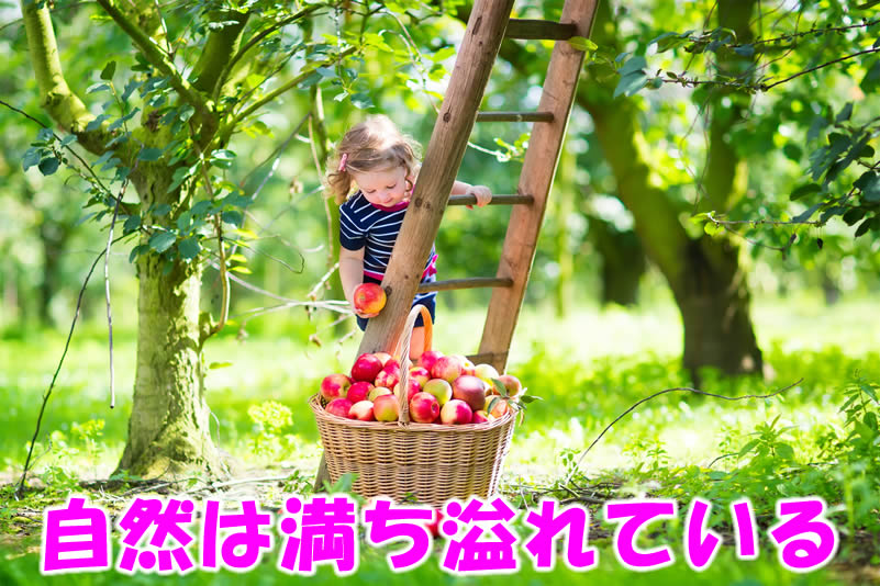 自然は満ち溢れている