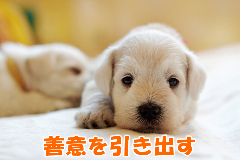 善意を引き出す