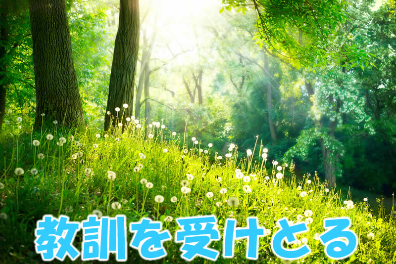 教訓を受けとる