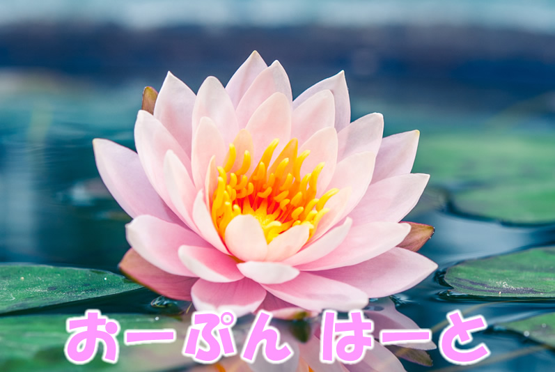 オープンハート