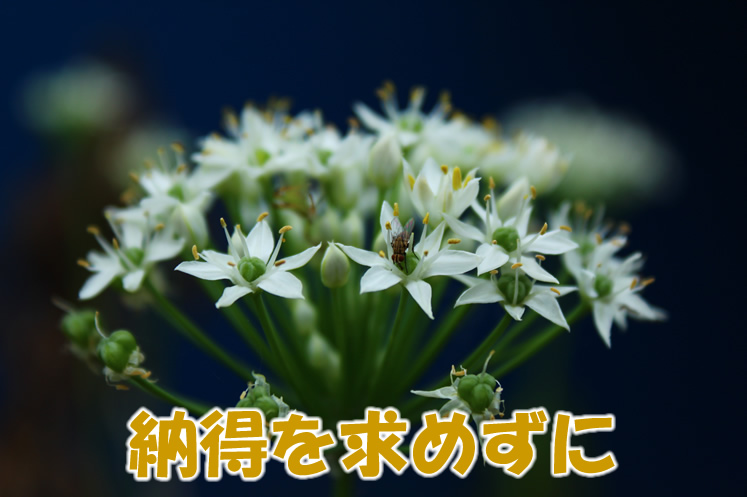 納得を求めずに