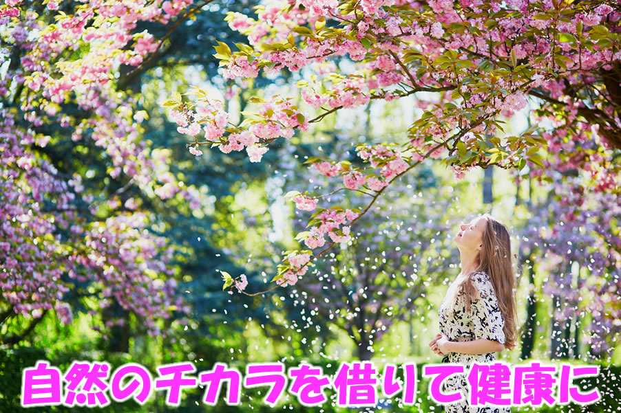 自然のチカラを借りて健康に