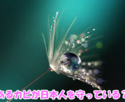 あるカビが日本人を守っている？