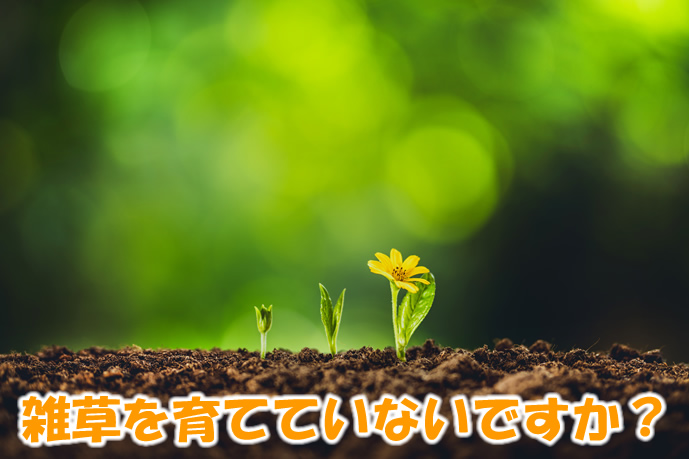 雑草の種を育てていないですか？