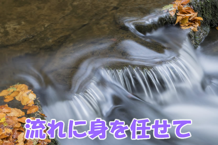 流れに身を任せて、今日は上弦のお月さま