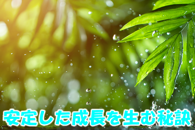 安定した成長を生む秘訣