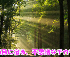 節目に宿る不思議なチカラ