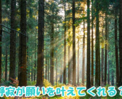 静寂が願いを叶えてくれる