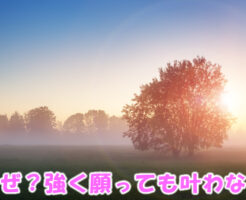 なぜ強く願っても叶わない