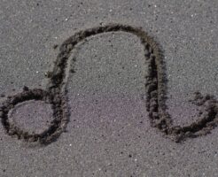 砂浜に書いたしし座のサイン