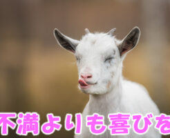 不満よりも喜びを