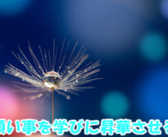 願い事を学びに昇華させる