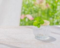 天恩日（てんおんにち）とは