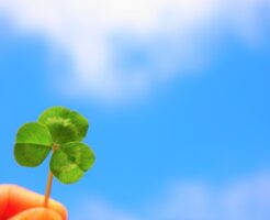 天赦日（てんしゃにち／てんしゃび） とは