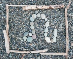 しし座 満月とは