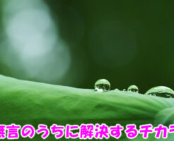 無言のうちに解決するチカラ