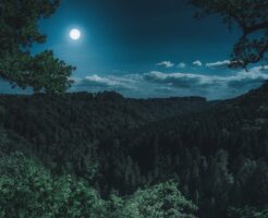 山上に浮かぶ満月