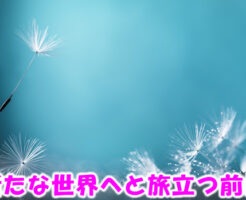 新たな世界へと旅立つ前に