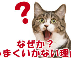 なぜかうまくいかない理由