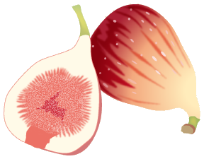 ２０２１年９月新月メッセージ 新月の願い事navi