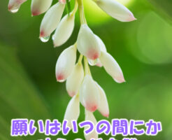 願いはいつの間にか叶うのが自然