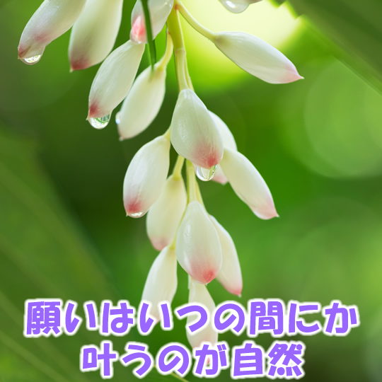 願いはいつの間にか叶うのが自然