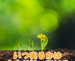 いつ実るかは宇宙が知っている