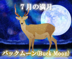 ７月の満月「バックムーン（Buck Moon）