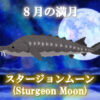 ８月の満月は「スタージョンムーン（Sturgeon Moon）」