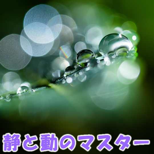 静と動のマスター