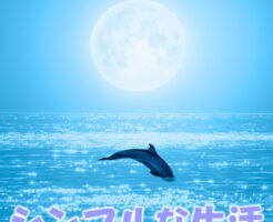 シンプルな生活