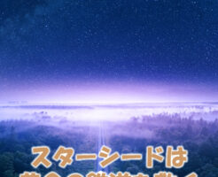 スターシードは黄金の鉄道を敷く
