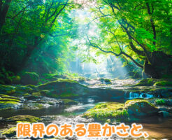 限界のある豊かさと