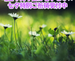 運命と情熱のツインフレームとは