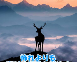 怖れよりも喜びの行動を増やす