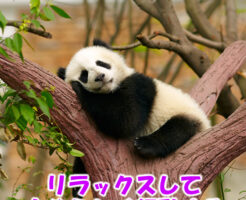 リラックスして自分らしく行動する