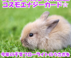 今年の干支フローライトのうさぎを無料プレゼント
