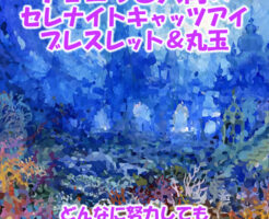 チョコっと入荷