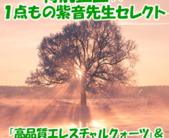 特別企画☆