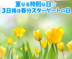 春分スターゲートご祈祷受付中