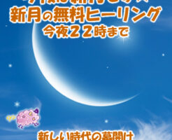 今夜は新月です