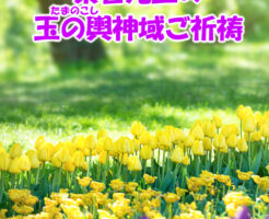 玉の輿に乗る